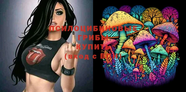 MDMA Заводоуковск