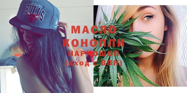 амф Слюдянка