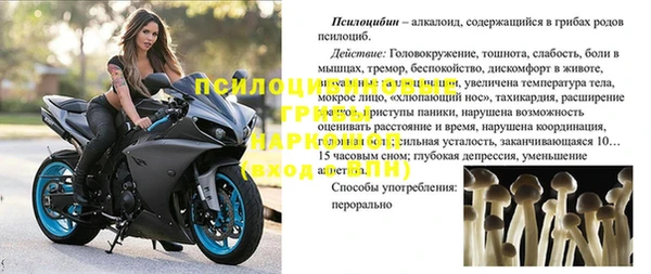 дмт Заволжье